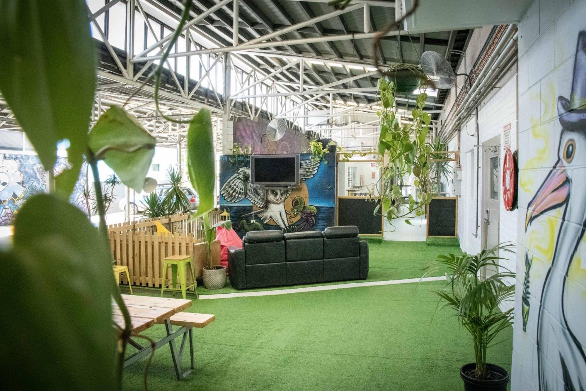 הוסטל בריסביין Habitat Backpackers מראה חיצוני תמונה